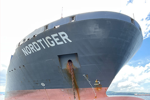 Nordtiger