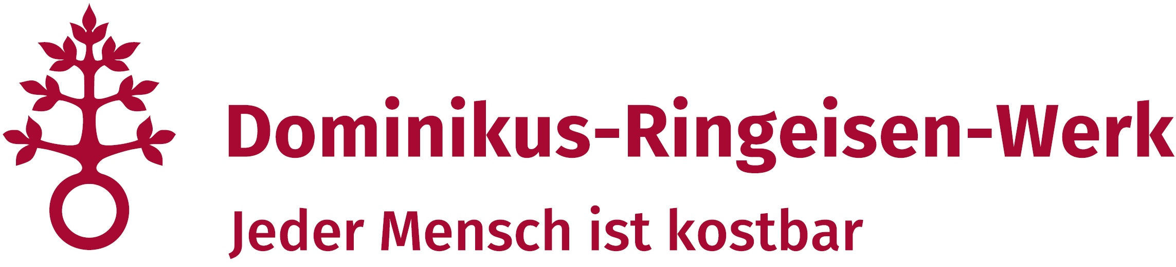Dominikus Ringeisen Logo