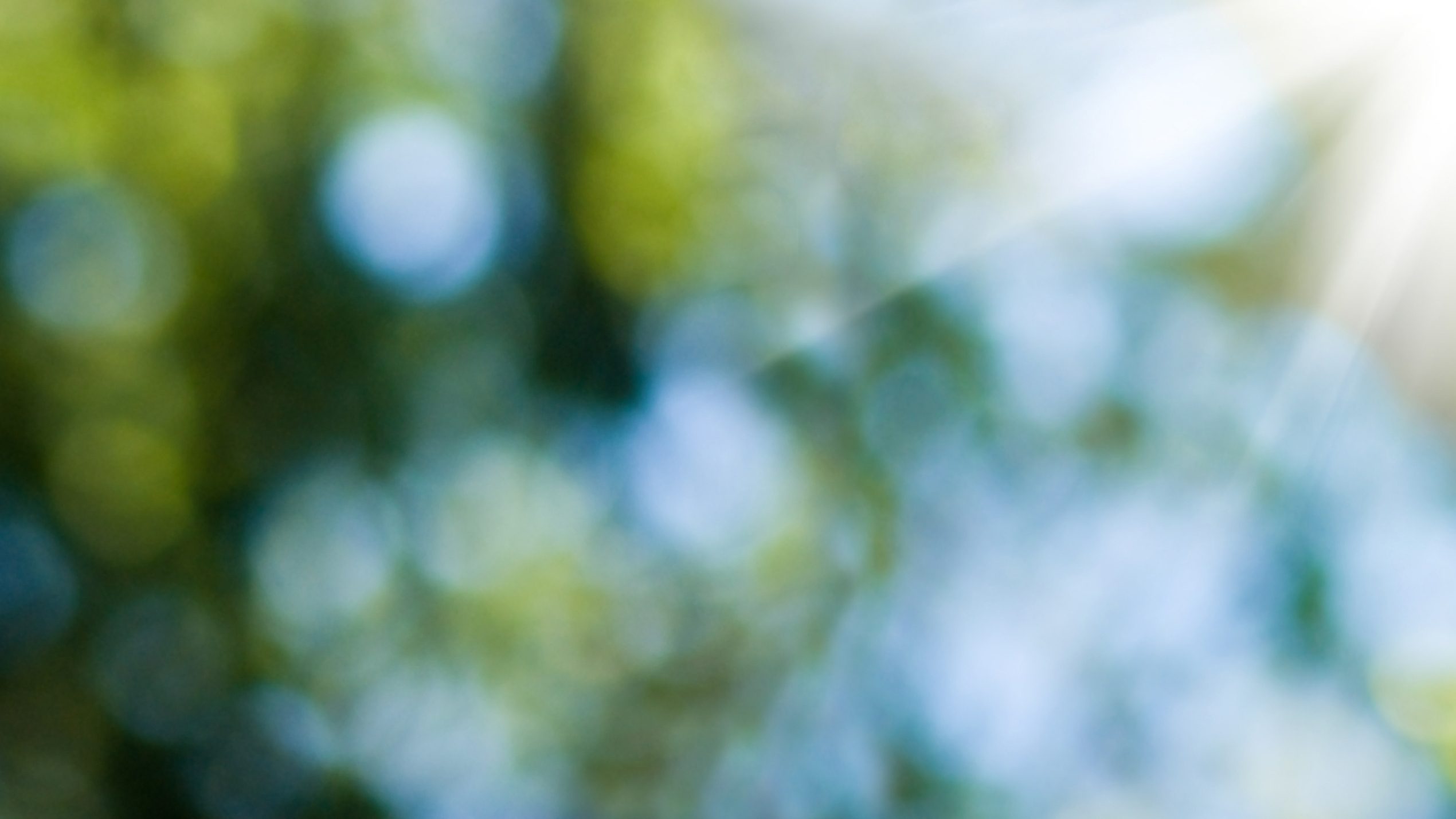 Sustainability report FY 2025 of the companies of Schwarz Group
