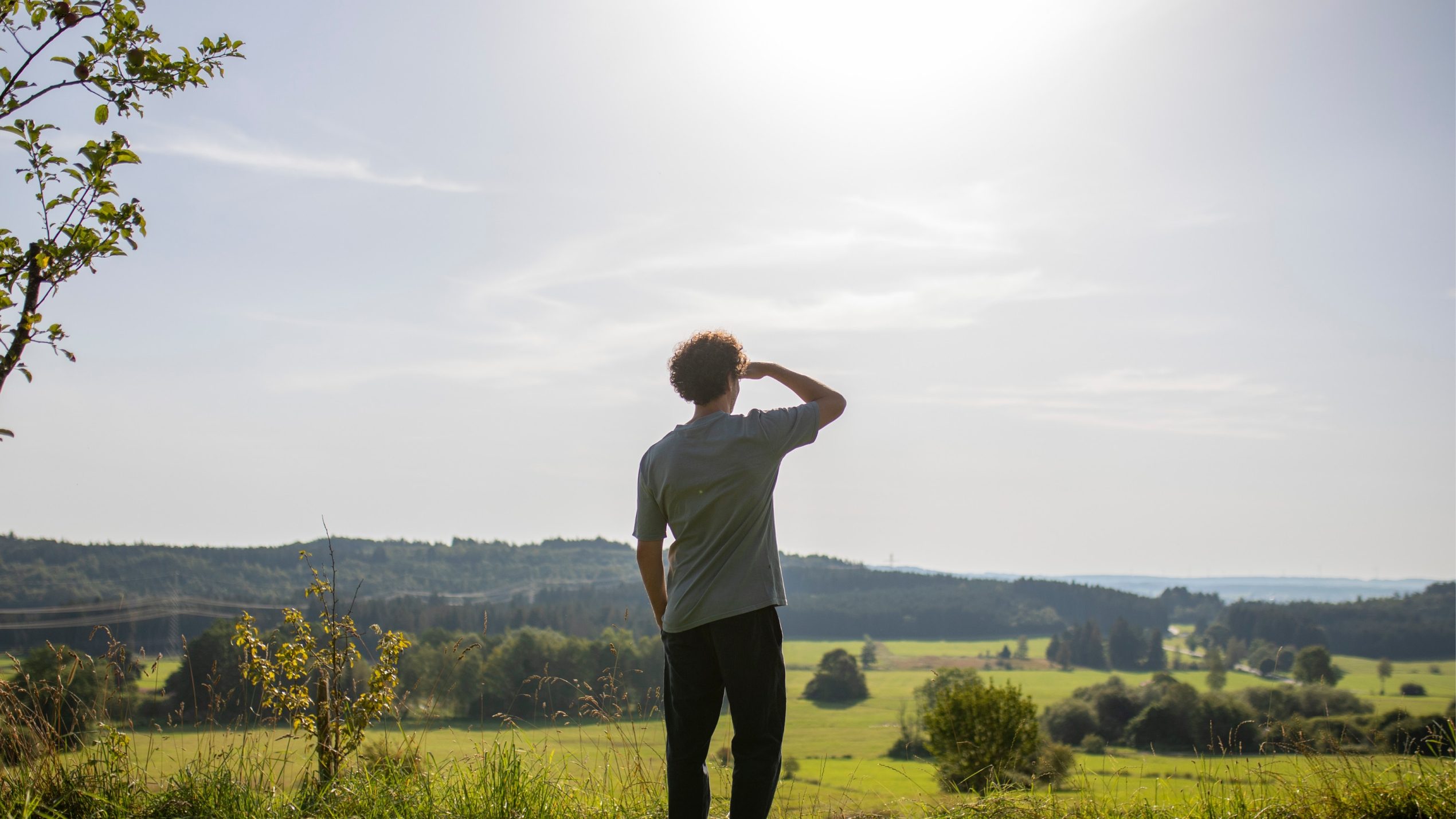 Climate Protection and Climate Strategy of the Companies of Schwarz Group