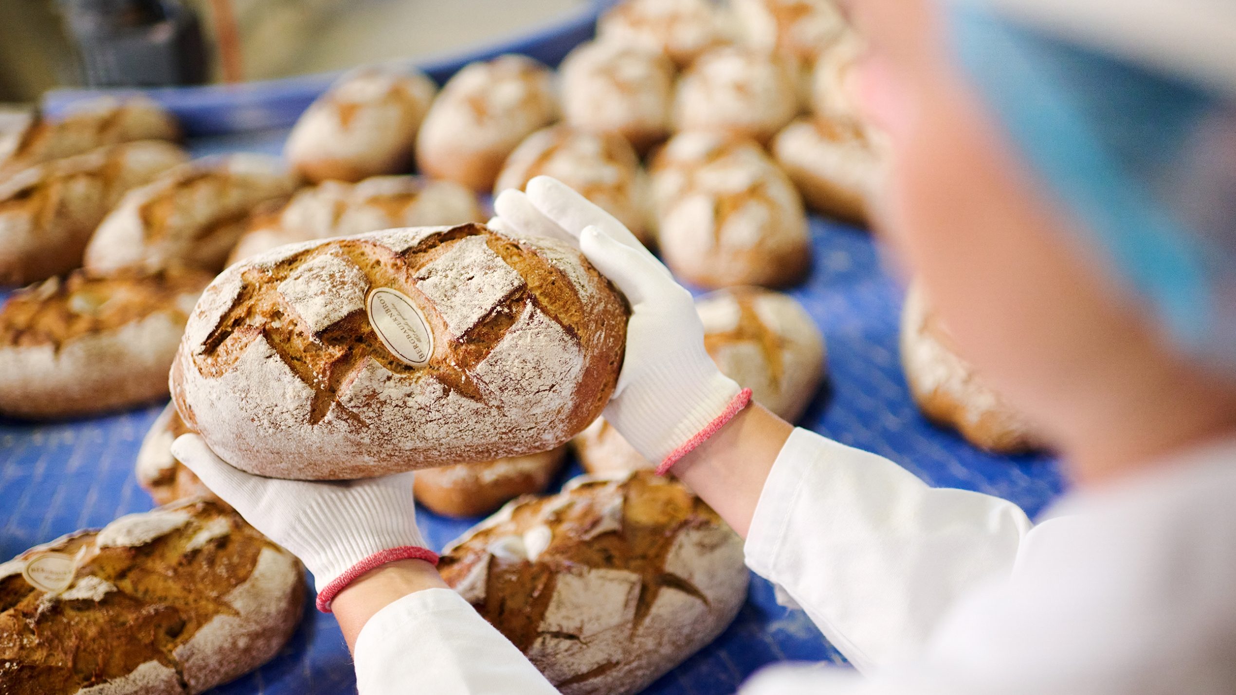 Produktion Bergbauernbrot der Unternehmen der Schwarz Gruppe bei Bonback