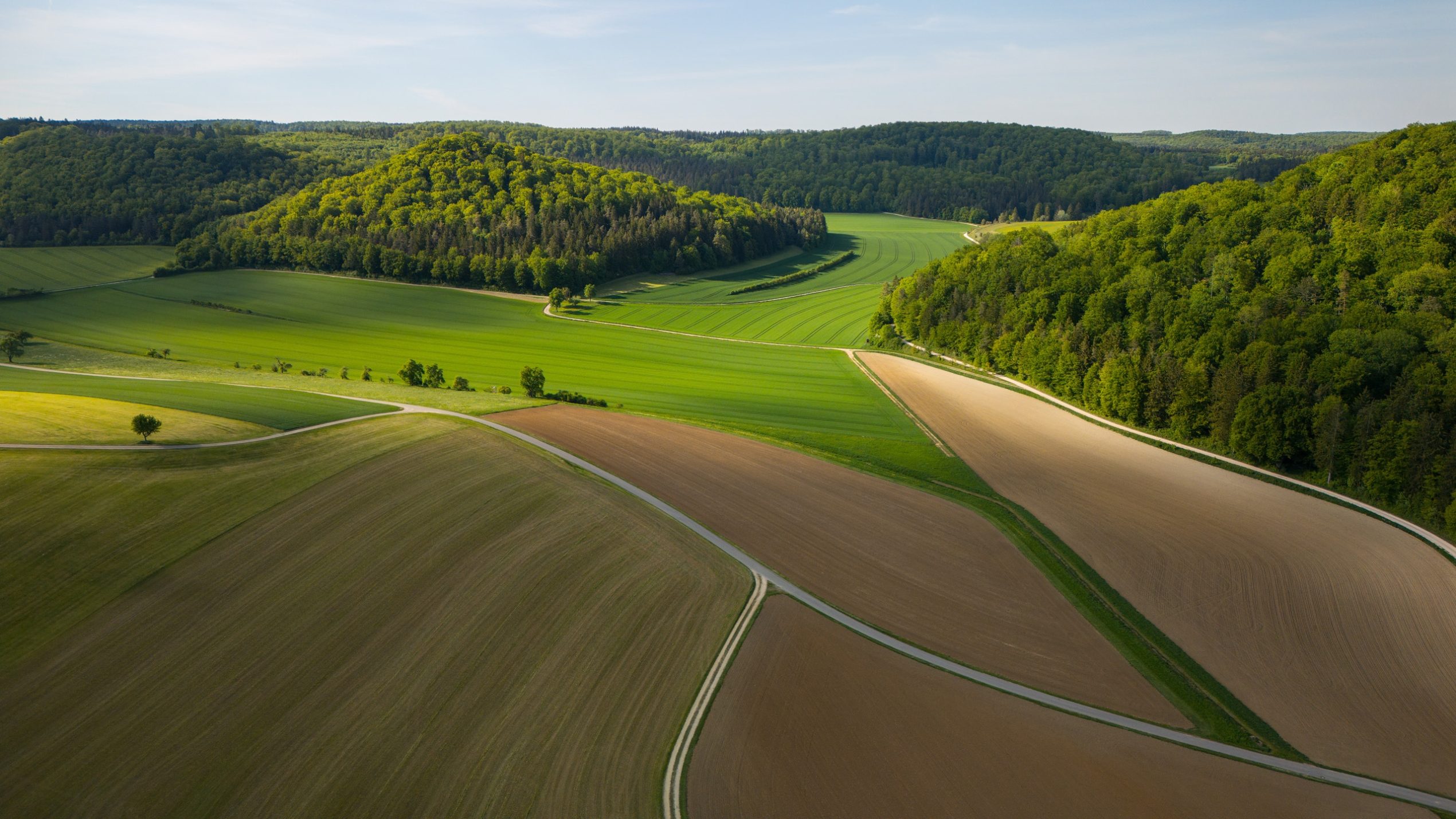 Landschaft – Symbolbild Nachhaltigkeitsbericht GJ25 der Unternehmen der Schwarz Gruppe