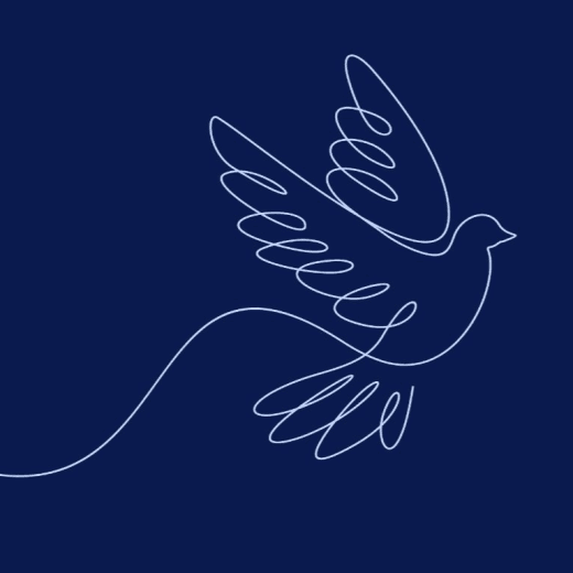 mourning dove