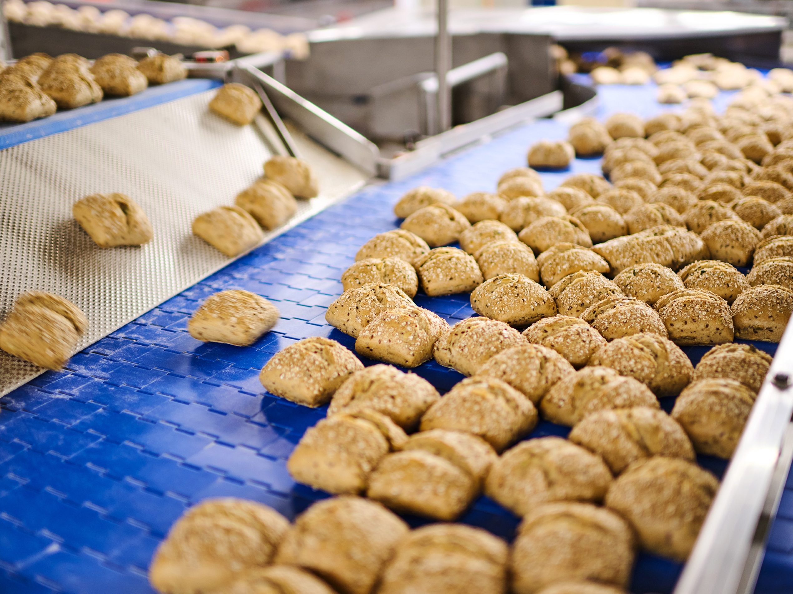 Production of spelt rolls by the companies of Schwarz Group at Bonback