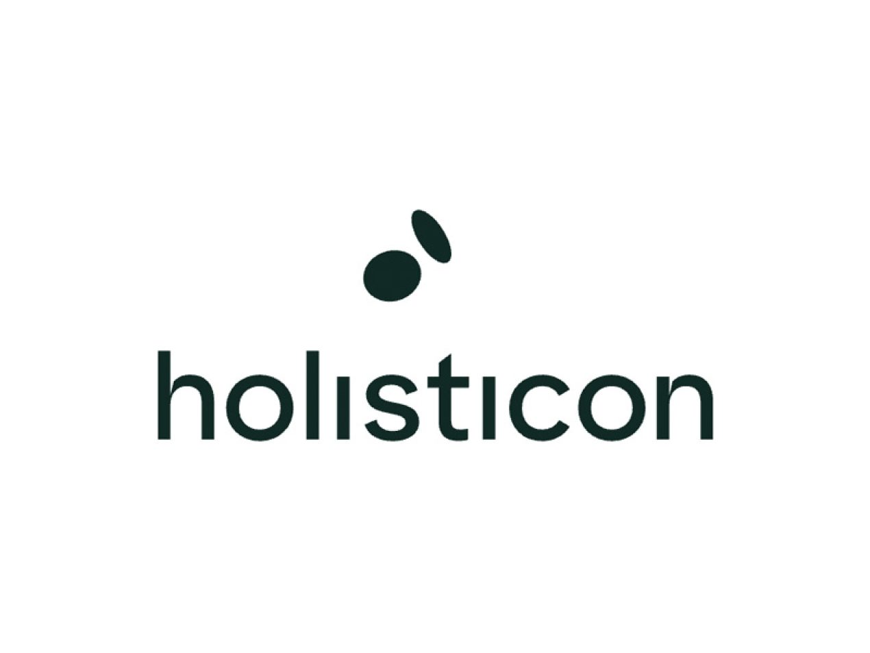 Holisticon Partner Logo