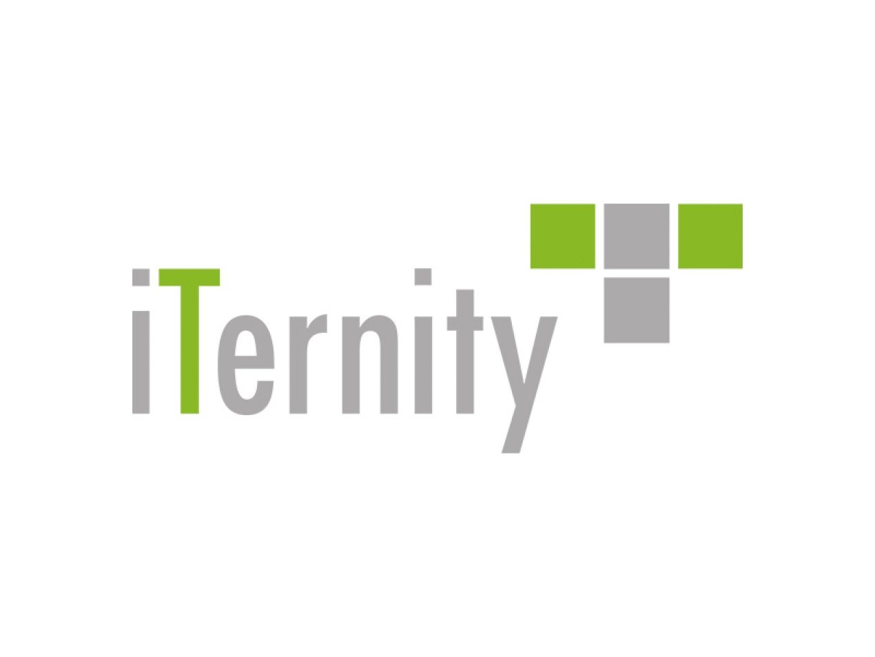 iTernity Partner Logo