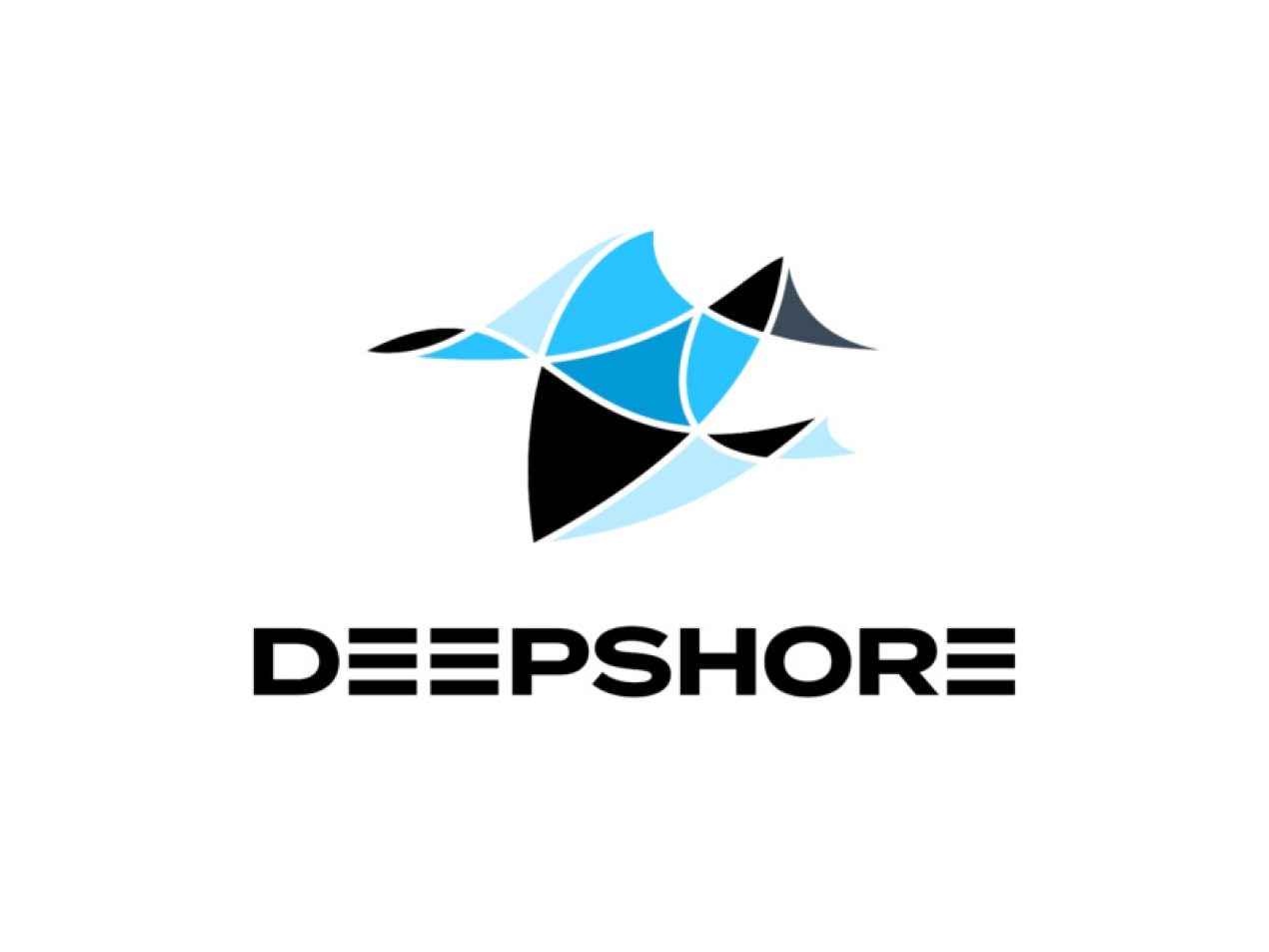 Deepshore Partner Logo