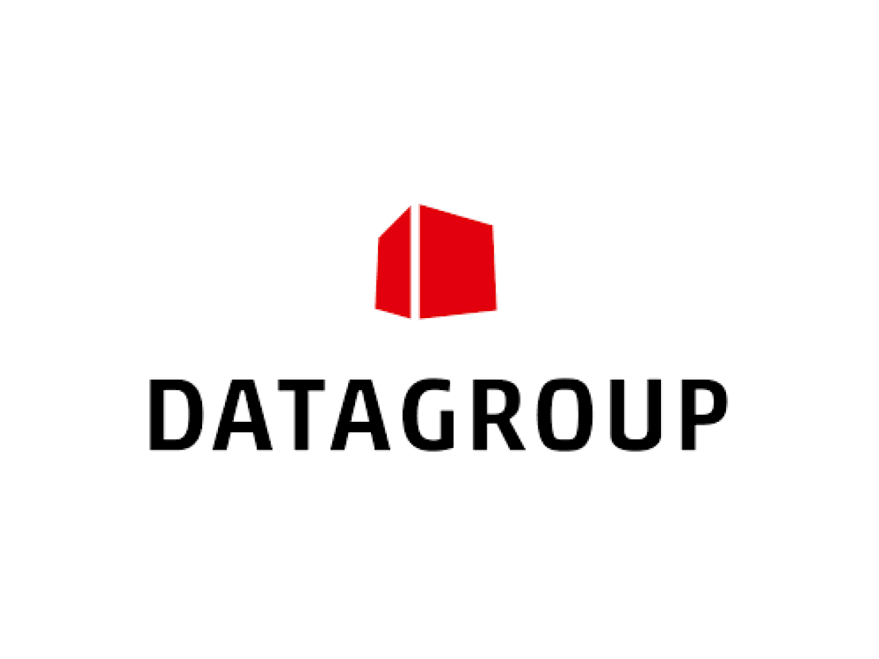 Datagroup Logo