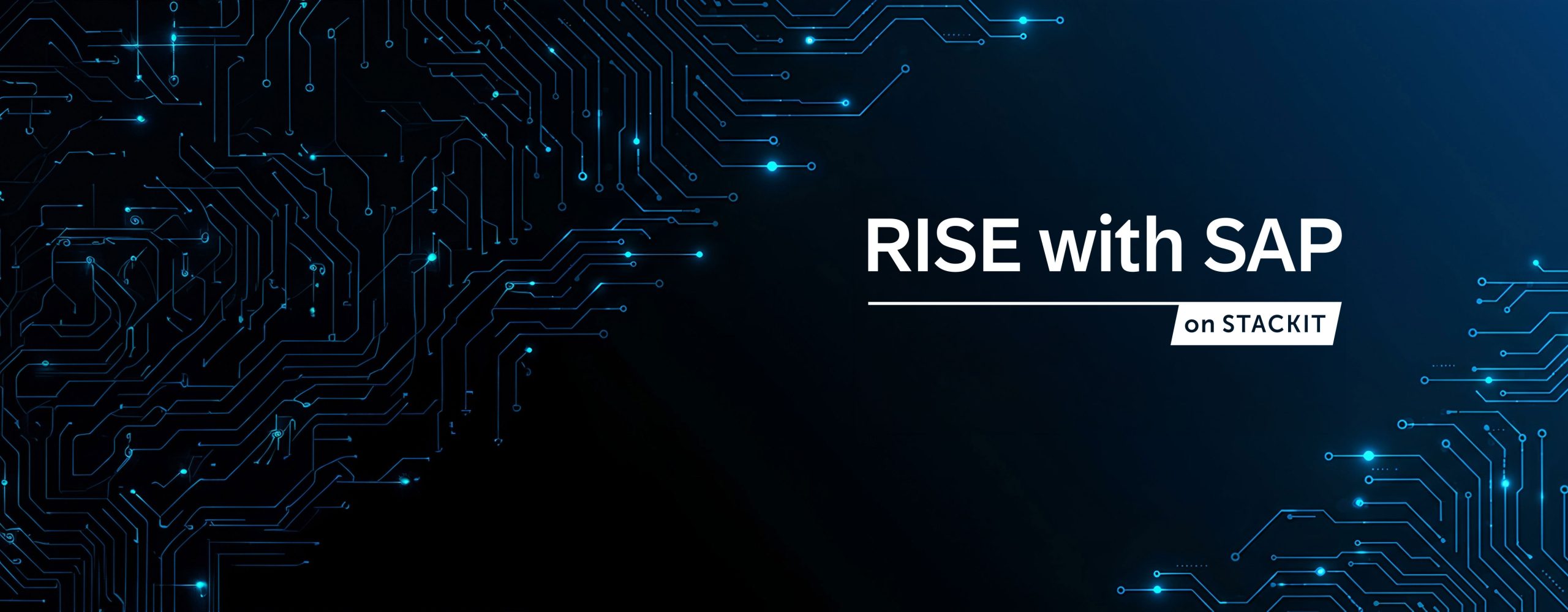 Hero Image Rise with SAP on STACKIT