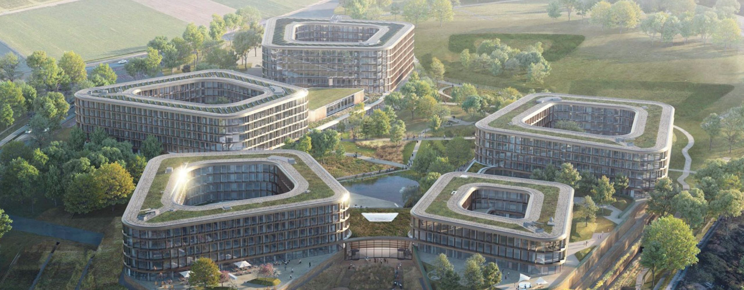 Architektur-Rendering des Schwarz Digits Campus in Bad Friedrichshall mit fünf modernen, ringförmigen Bürogebäuden und begrünten Dächern in einer Parklandschaft.